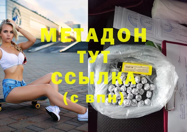индика Алзамай