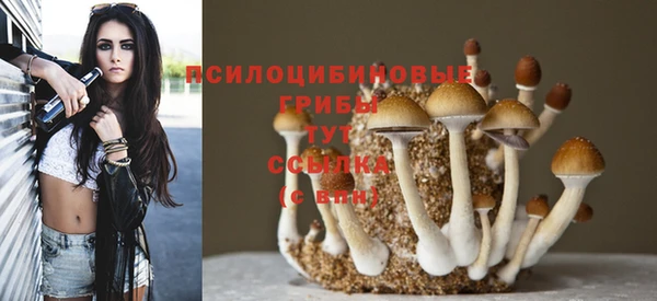 индика Алзамай