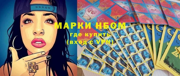 индика Алзамай