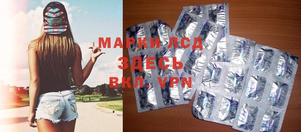 индика Алзамай