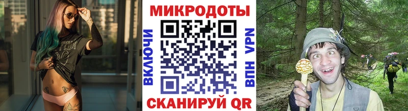Псилоцибиновые грибы Cubensis  гидра ссылка  Кемь 